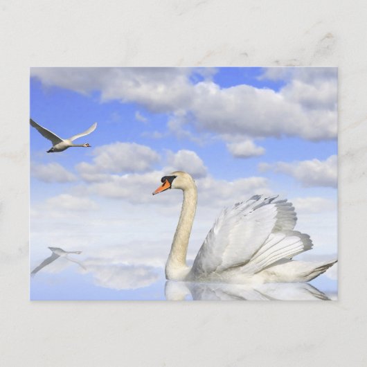 シュワネンゼ ポストカード (正面)