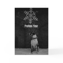 シュワルツ・ウェイシュナクトカルテン