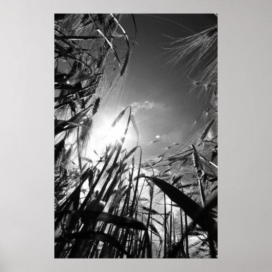 シュワルツ・ウェイスのゲレデ ポスター (正面)