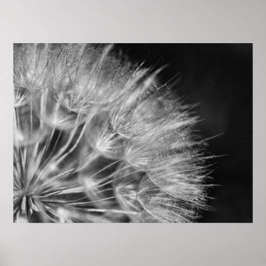 シュワルツ・ウェイズのヘリック詳細プステブルーム ポスター (正面)