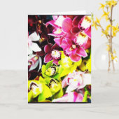 シュンラン属の蘭の空白のな挨拶状 カード (黄色い花)