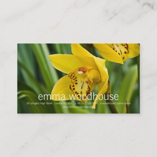 シュンラン属の蘭 名刺 (正面)