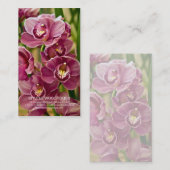 シュンラン属の蘭 名刺 (正面/裏面)