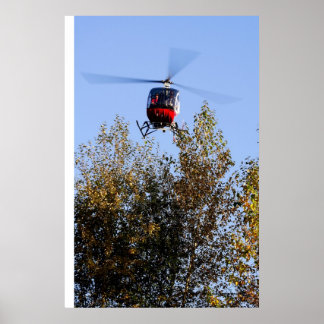 シュヴァイ来ザーが上陸する ポスター