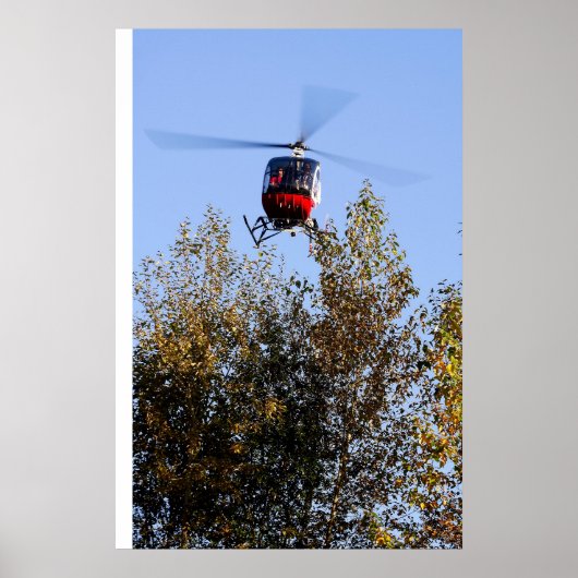 シュヴァイ来ザーが上陸する ポスター (正面)