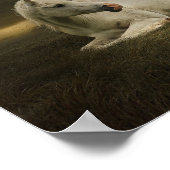 シュヴァルエエンファント ポスター (角)