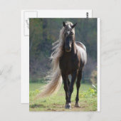 シュヴァル ポストカード (正面/裏面)