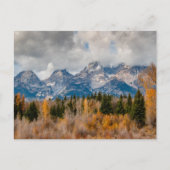 シュヴァーハーランディンググランドテトンナショナルパーク ポストカード (正面)