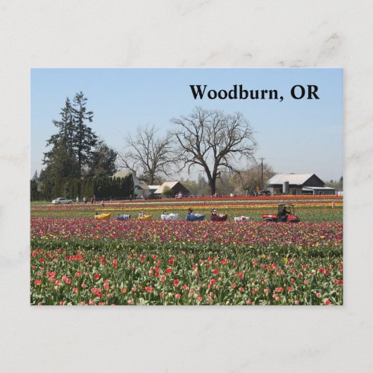 シューズトレイン ポストカード (正面)