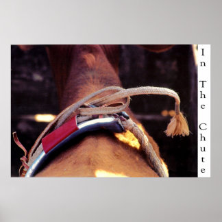 シュート内で ポスター