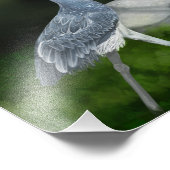 シュービルストークバードフォトプリント フォトプリント            (角)