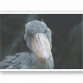 シュービルチャーム シール (正面)