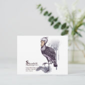 シュービル – プラム ポストカード (スタンド正面)