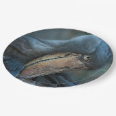 シュービル ペーパープレート (アングル)