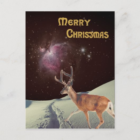 シュールなクリスマスのトナカイが宇宙に ポストカード (正面)