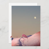 シュールな雪の中のフラミンゴ シーズンカード (正面/裏面)