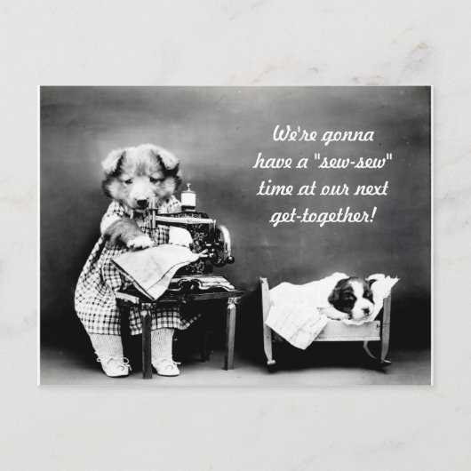 「シュー」タイムヴィンテージドッグ葉書 ポストカード (正面)