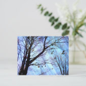 シュー・ツリー ポストカード (スタンド正面)