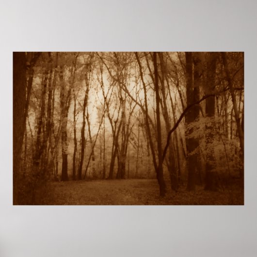 シュー ポスター (正面)