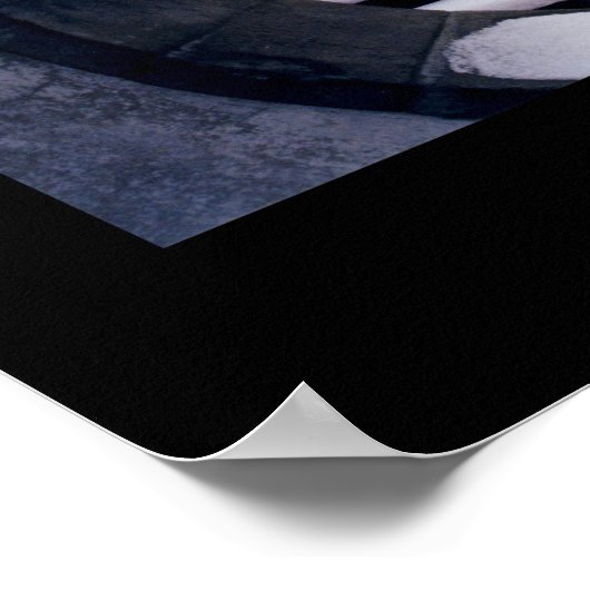 シュー ポスター (角)