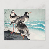 ショアでのスナイプ素晴らしアート大原公尊 ポストカード (正面)