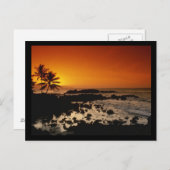 ショアオアフハワイ ポストカード (正面/裏面)