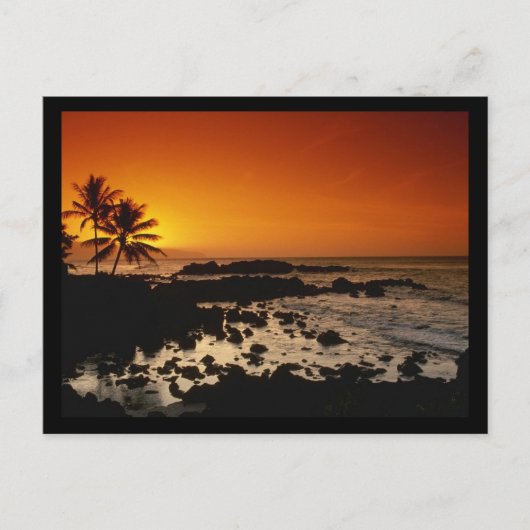 ショアオアフハワイ ポストカード (正面)