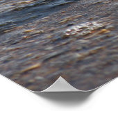 ショアバードのポスター ポスター (角)