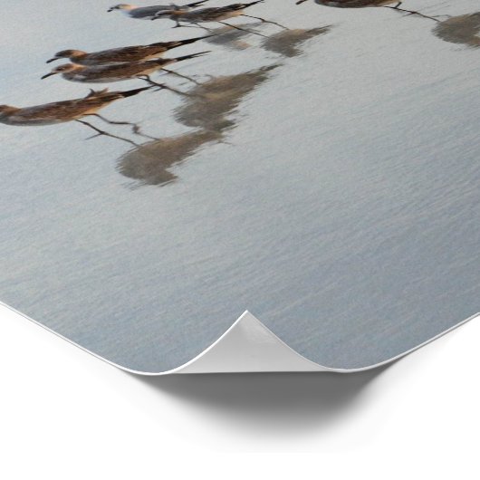 ショアバード ポスター (角)