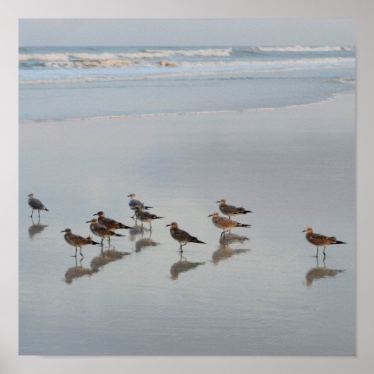 ショアバード ポスター (正面)