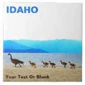 ショアパトロール – カナダゲーゼ タイル (正面)