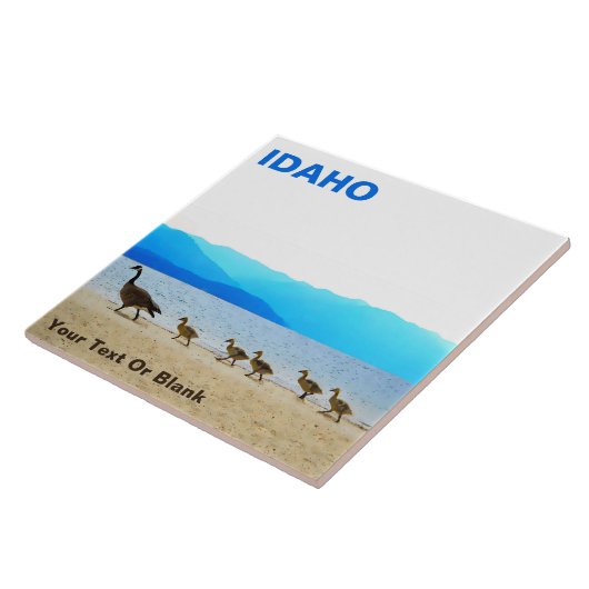 ショアパトロール – カナダゲーゼ タイル (側面)