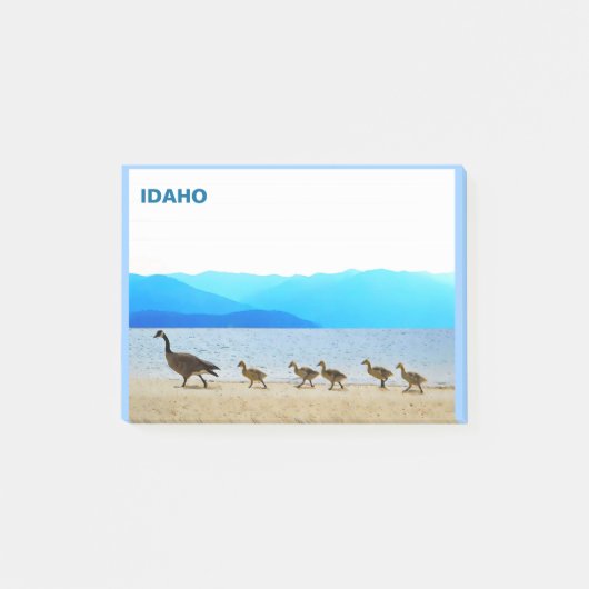 ショアパトロール – カナダゲーゼ ポストイット (正面)