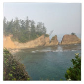 ショアーズエーカー州パーク，オレゴン州コースト タイル (正面)