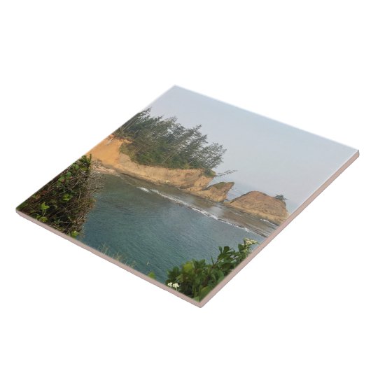 ショアーズエーカー州パーク，オレゴン州コースト タイル (側面)