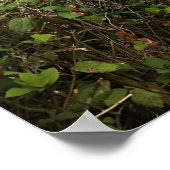 ショアーズエーカー州パーク,オレゴン州コースト ポスター (角)