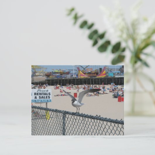 ショア物 ポストカード (スタンド正面)