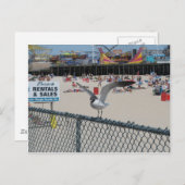 ショア物 ポストカード (正面/裏面)