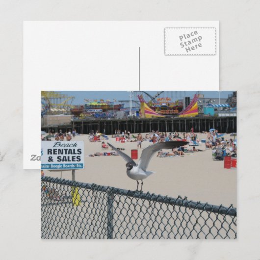 ショア物 ポストカード (正面/裏面)