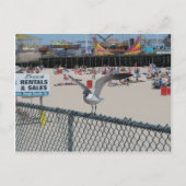 ショア物 ポストカード (正面)