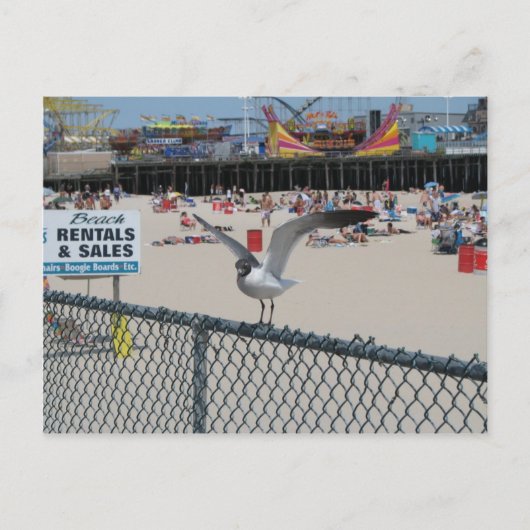 ショア物 ポストカード (正面)