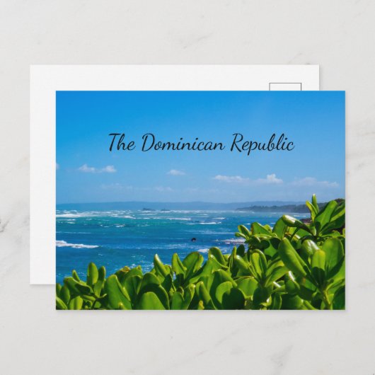 ショア鮮やか ポストカード (正面/裏面)