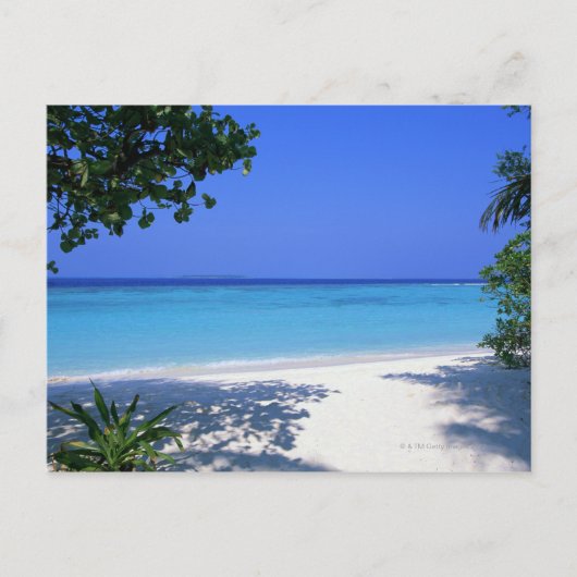 ショア13 ポストカード (正面)