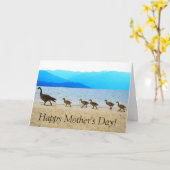 ショア・パトロール・カナダゲーゼ カード (黄色い花)