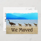 ショア・パトロール・カナダゲーゼ 案内ポストカード (正面/裏面)