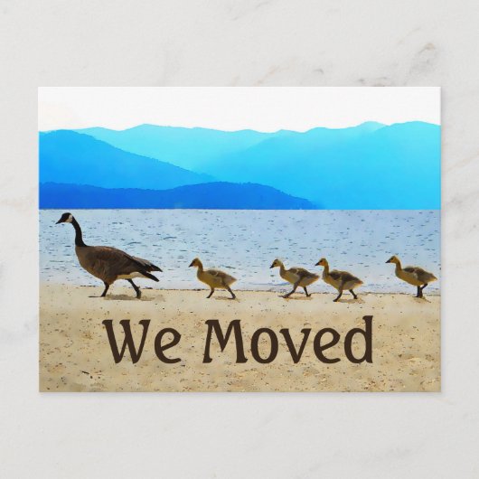 ショア・パトロール・カナダゲーゼ 案内ポストカード (正面)