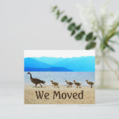 ショア・パトロール・カナダゲーゼ 案内ポストカード (スタンド正面)