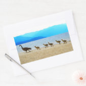 ショア・パトロール・カナダゲーゼ 長方形シール (封筒)