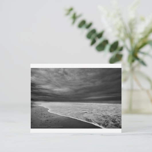 ショア ポストカード (スタンド正面)