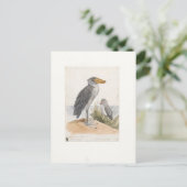 ショイビルストーク1887プリントゾロロジカアムステルダム ポストカード (スタンド正面)